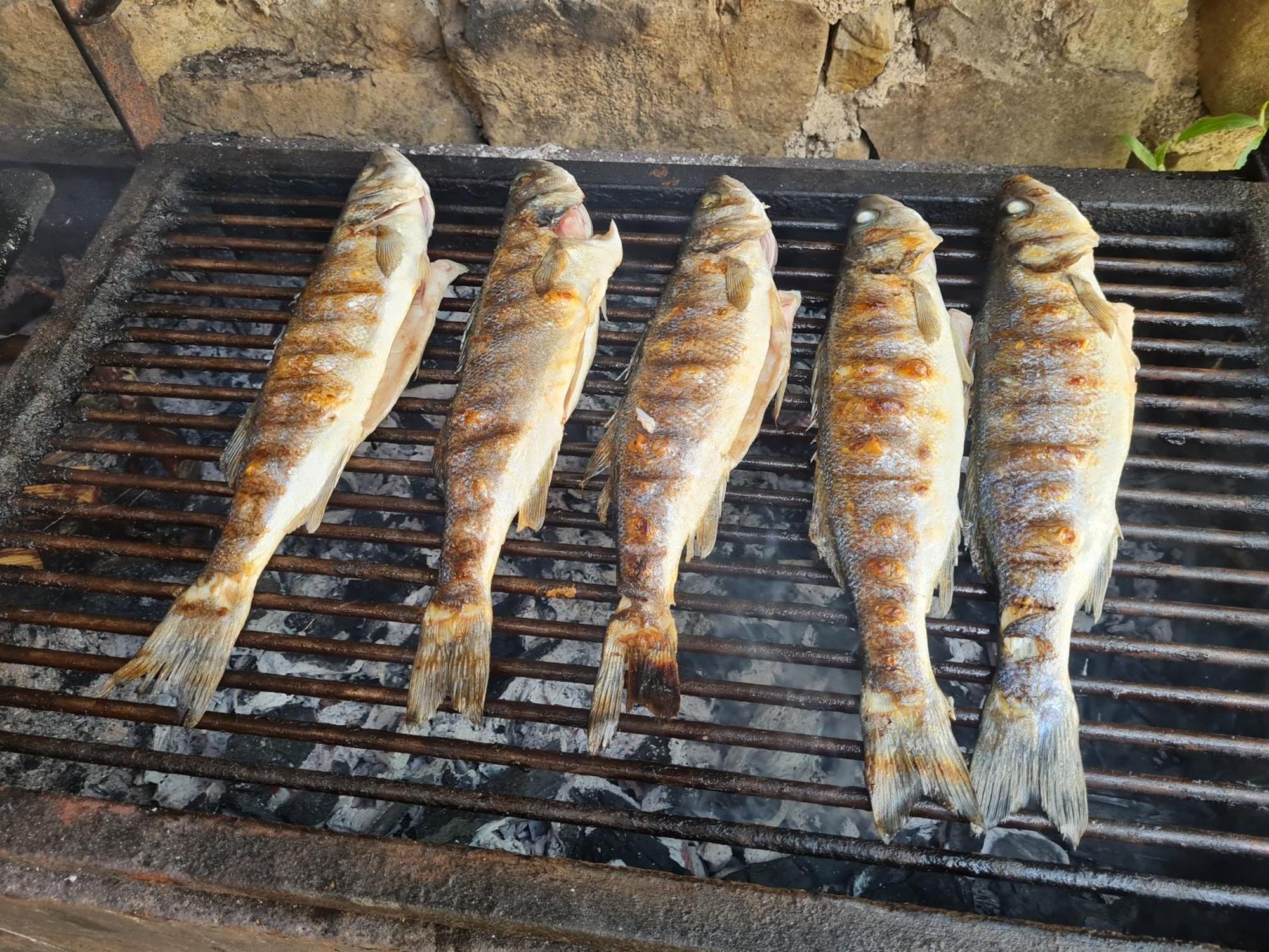 Sečovlje Apartma Istra Zora מראה חיצוני תמונה