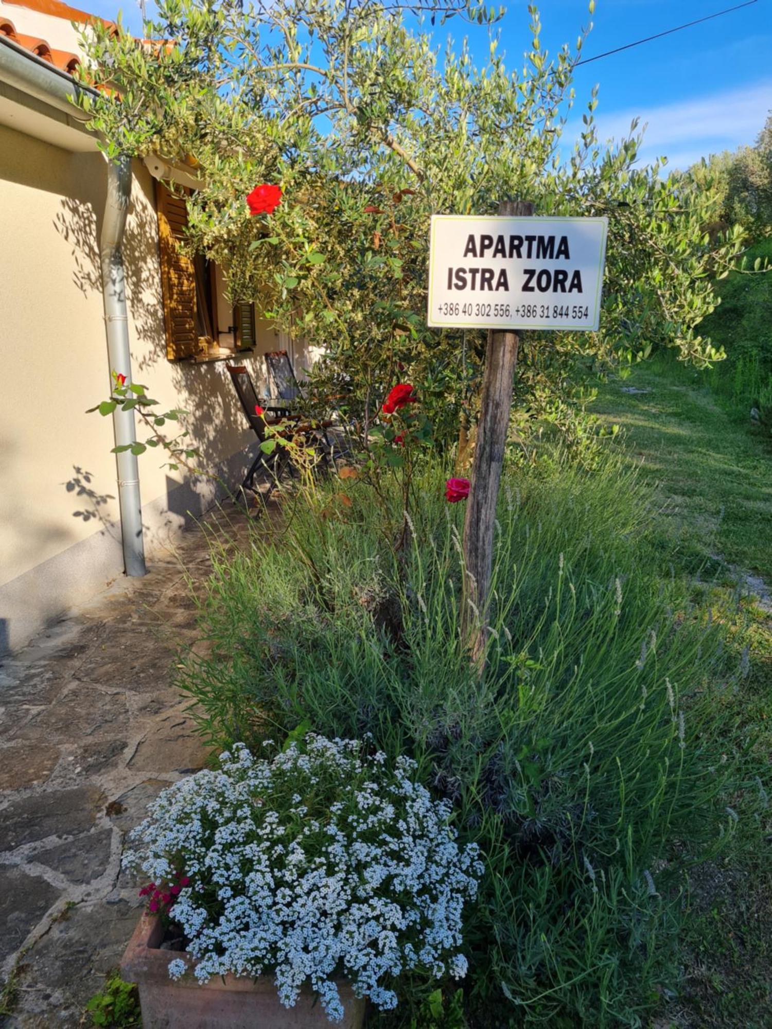 Sečovlje Apartma Istra Zora מראה חיצוני תמונה