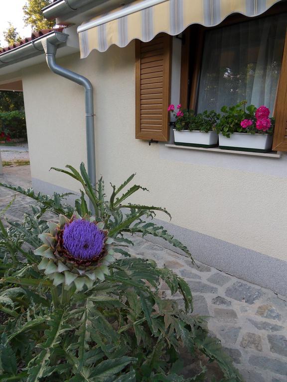 Sečovlje Apartma Istra Zora מראה חיצוני תמונה