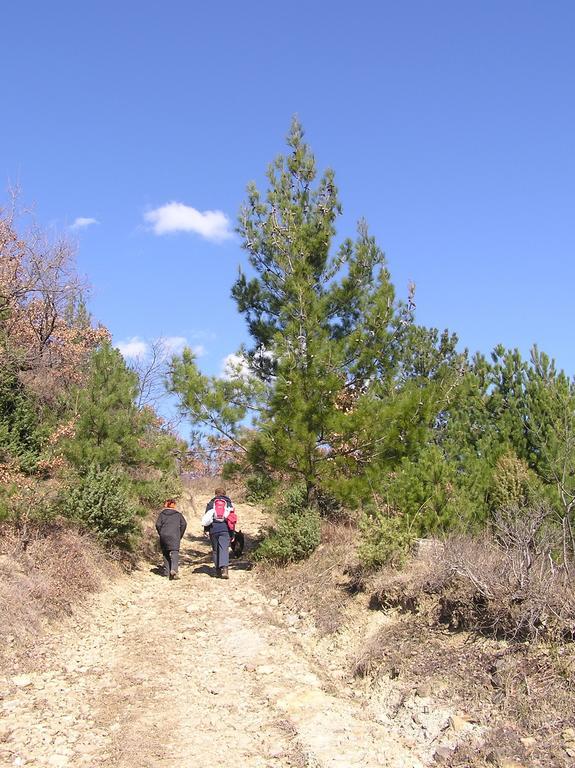 דירות Sečovlje Apartma Istra Zora מראה חיצוני תמונה