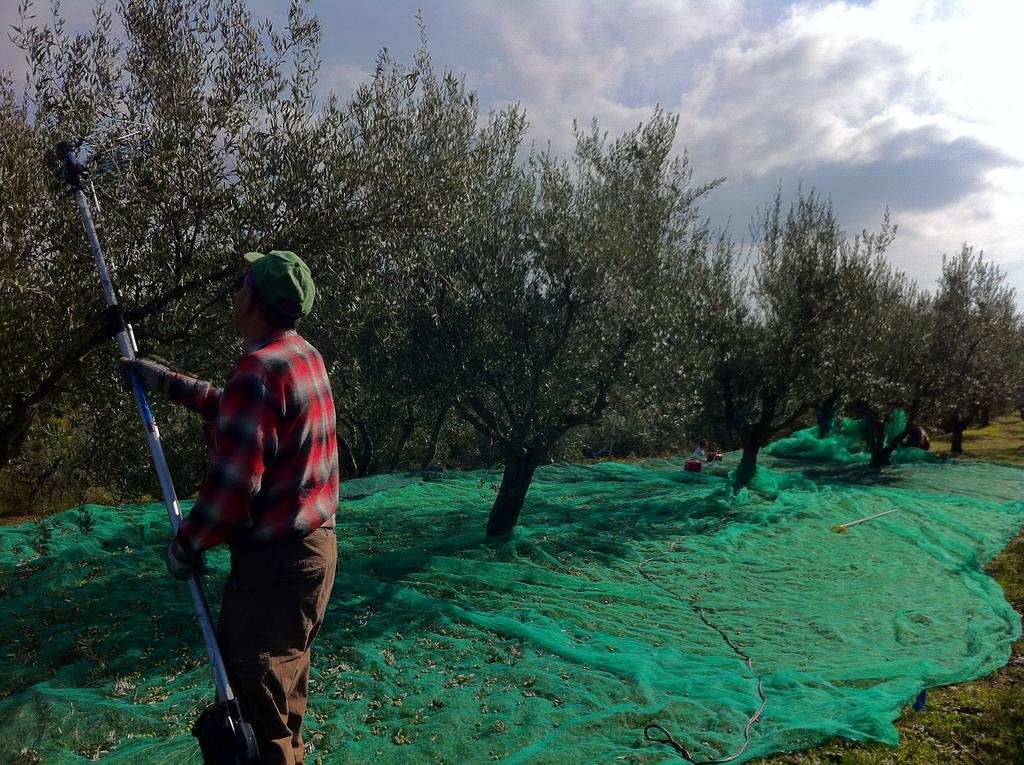 דירות Sečovlje Apartma Istra Zora מראה חיצוני תמונה