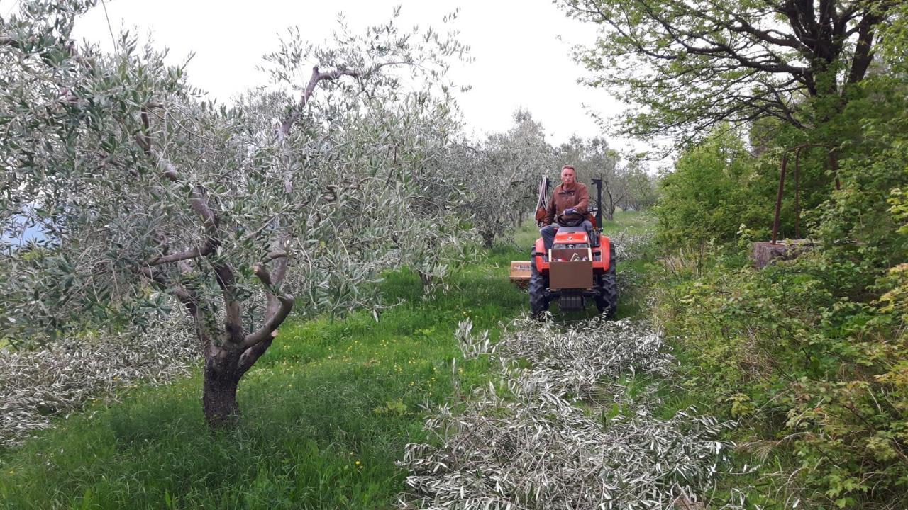 דירות Sečovlje Apartma Istra Zora מראה חיצוני תמונה