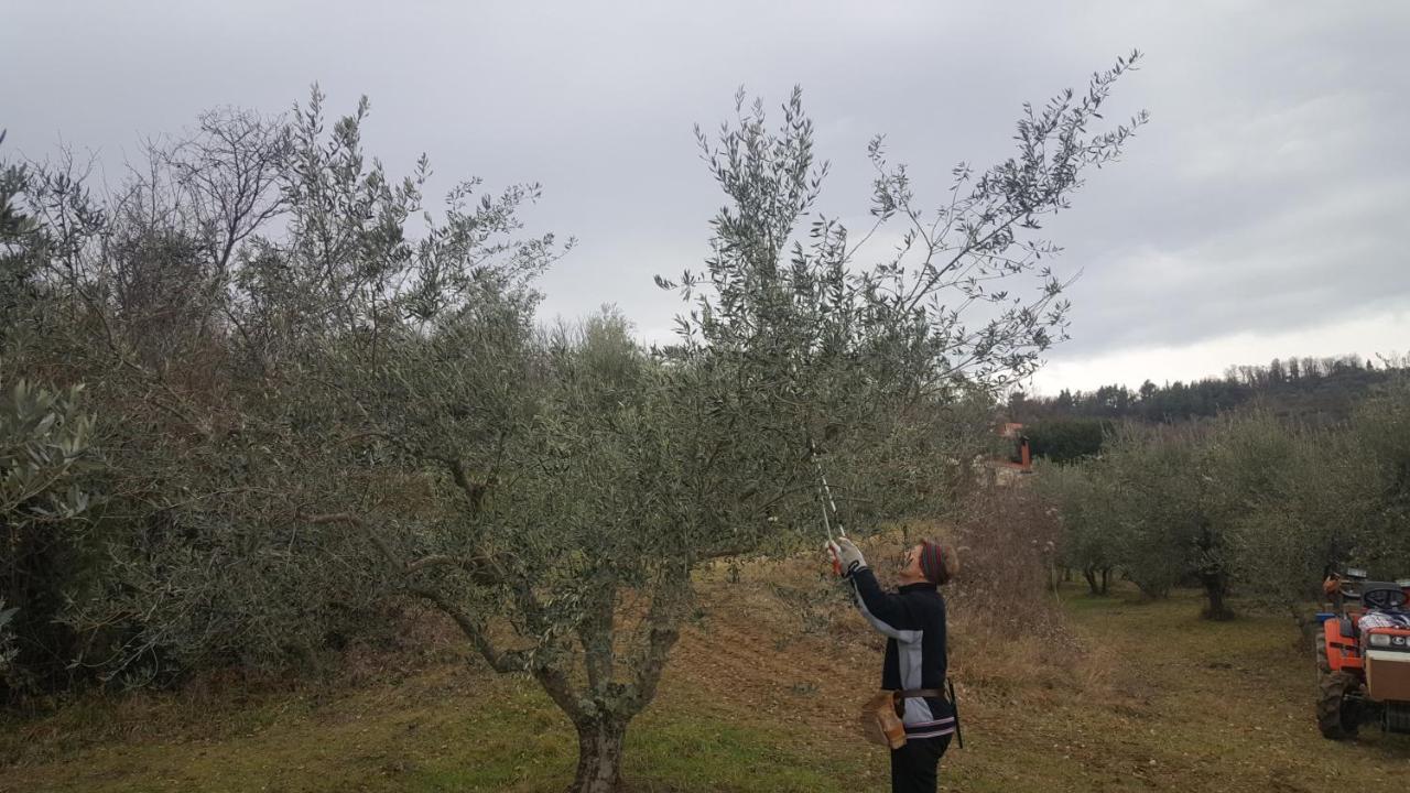 דירות Sečovlje Apartma Istra Zora מראה חיצוני תמונה